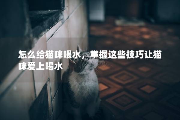 怎么给猫咪喂水，掌握这些技巧让猫咪爱上喝水