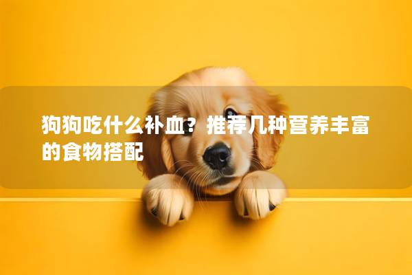 狗狗吃什么补血？推荐几种营养丰富的食物搭配