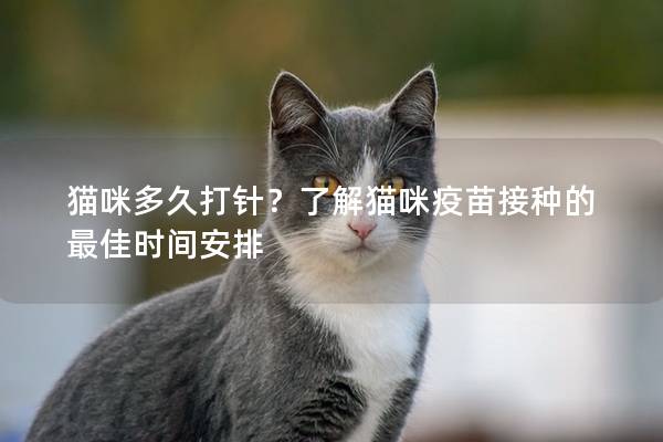 猫咪多久打针？了解猫咪疫苗接种的最佳时间安排