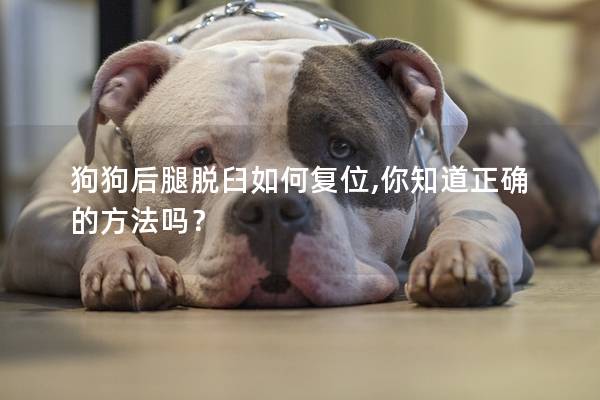 狗狗后腿脱臼如何复位,你知道正确的方法吗？