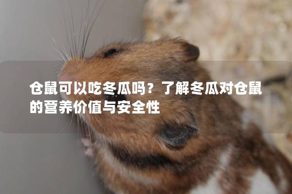 仓鼠可以吃冬瓜吗？了解冬瓜对仓鼠的营养价值与安全性