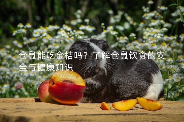 仓鼠能吃金桔吗？了解仓鼠饮食的安全与健康知识