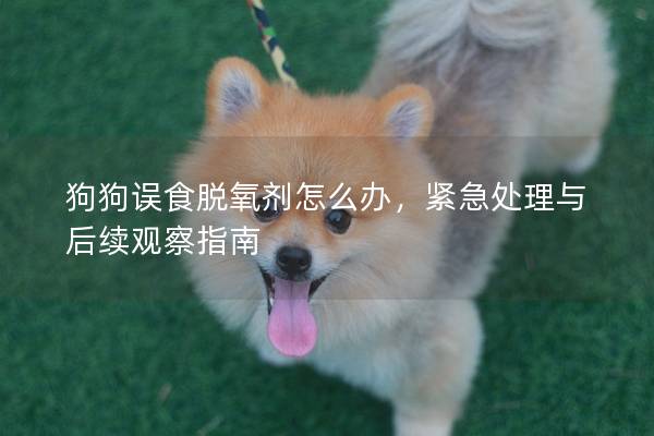 狗狗误食脱氧剂怎么办，紧急处理与后续观察指南