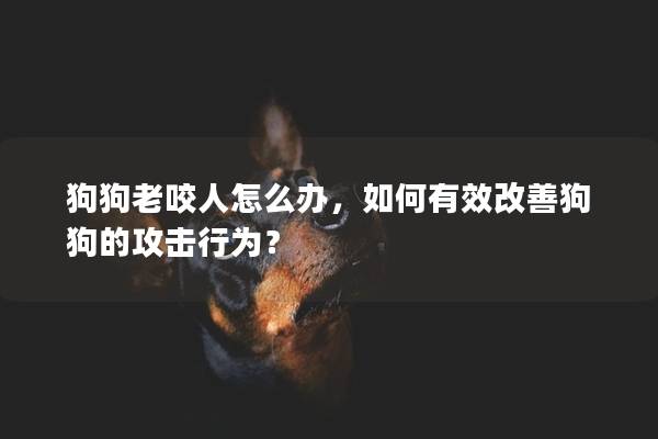 狗狗老咬人怎么办，如何有效改善狗狗的攻击行为？