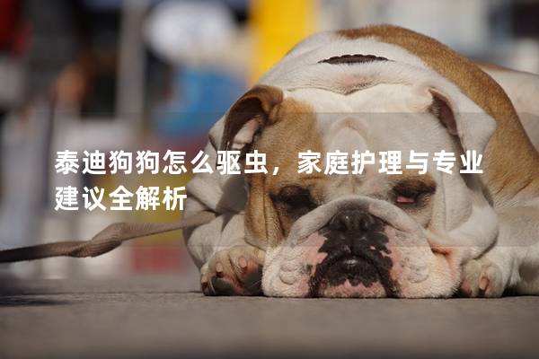 泰迪狗狗怎么驱虫,家庭护理与专业建议全解析 泰迪狗狗怎么驱虫,家庭护理与专业建议全解析