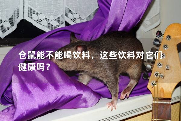 仓鼠能不能喝饮料，这些饮料对它们健康吗？