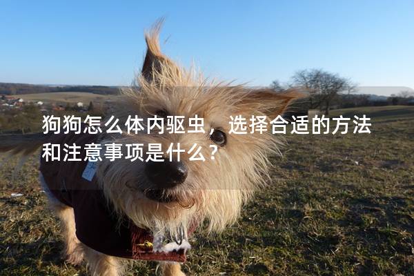 狗狗怎么体内驱虫，选择合适的方法和注意事项是什么？