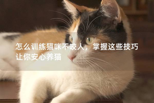 怎么训练猫咪不咬人，掌握这些技巧让你安心养猫