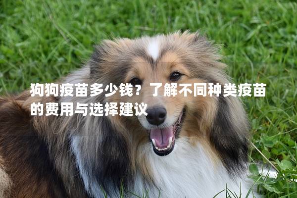 狗狗疫苗多少钱?了解不同种类疫苗的费用与选择建议 狗狗疫苗多少钱?了解不同种类疫苗的费用与选择建议