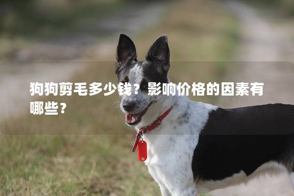 狗狗剪毛多少钱?影响价格的因素有哪些? 狗狗剪毛多少钱?影响价格的因素有哪些?