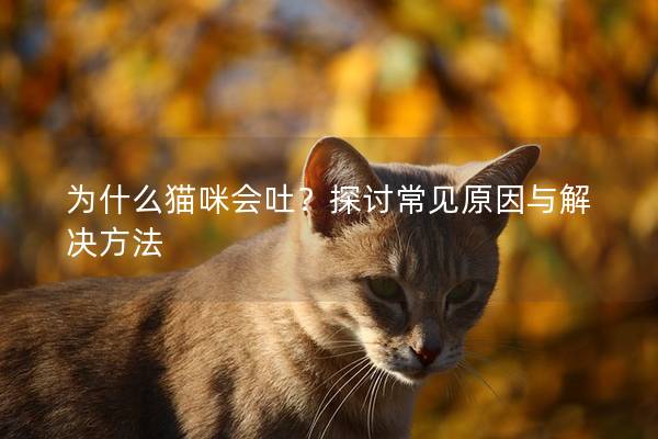 为什么猫咪会吐？探讨常见原因与解决方法
