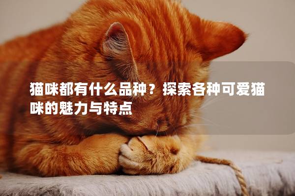 猫咪都有什么品种?探索各种可爱猫咪的魅力与特点 猫咪都有什么品种?探索各种可爱猫咪的魅力与特点