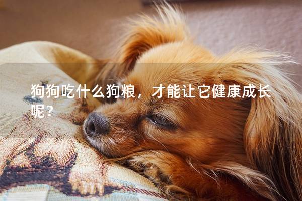 狗狗吃什么狗粮，才能让它健康成长呢？