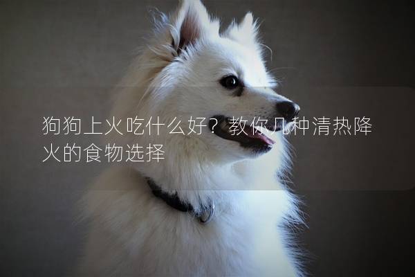 狗狗上火吃什么好？教你几种清热降火的食物选择
