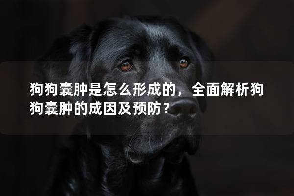 狗狗囊肿是怎么形成的，全面解析狗狗囊肿的成因及预防？