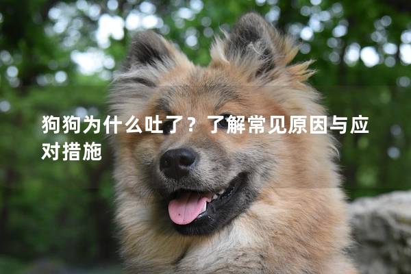 狗狗为什么吐了？了解常见原因与应对措施