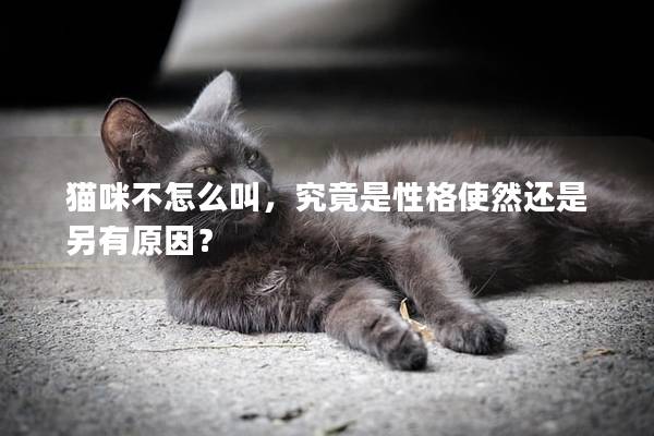 猫咪不怎么叫,究竟是性格使然还是另有原因? 猫咪不怎么叫,究竟是性格使然还是另有原因?