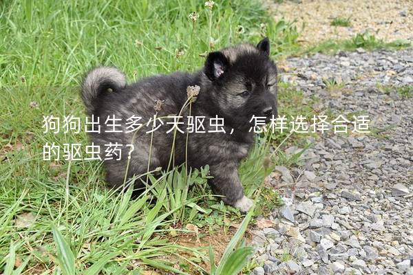 狗狗出生多少天驱虫,怎样选择合适的驱虫药? 狗狗出生多少天驱虫,怎样选择合适的驱虫药?