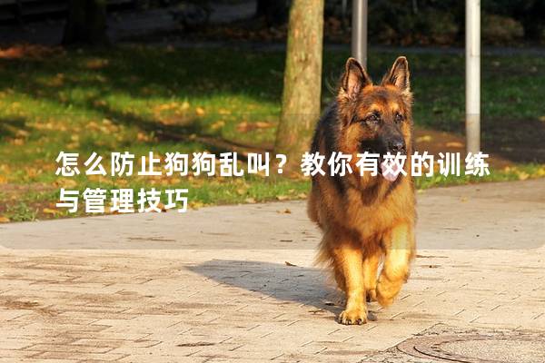 怎么防止狗狗乱叫？教你有效的训练与管理技巧