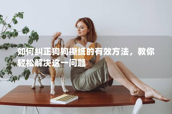 如何纠正狗狗撕纸的有效方法，教你轻松解决这一问题