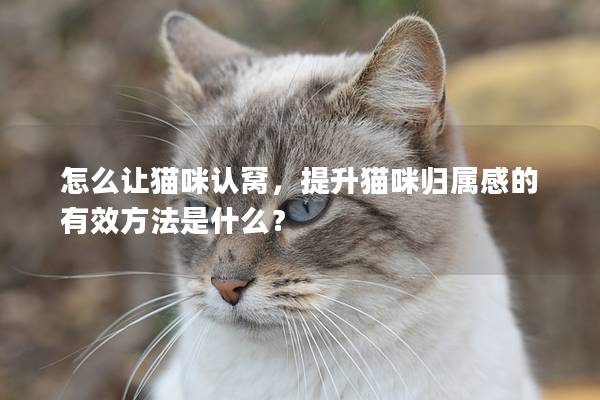 怎么让猫咪认窝，提升猫咪归属感的有效方法是什么？