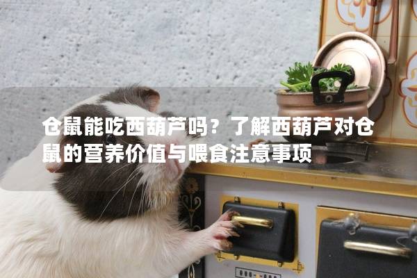 仓鼠能吃西葫芦吗？了解西葫芦对仓鼠的营养价值与喂食注意事项