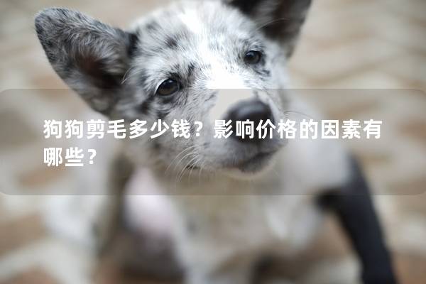 狗狗剪毛多少钱?影响价格的因素有哪些? 狗狗剪毛多少钱?影响价格的因素有哪些?