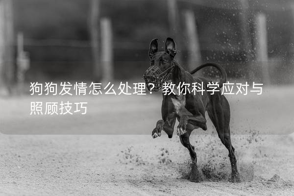 狗狗发情怎么处理？教你科学应对与照顾技巧