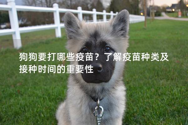 狗狗要打哪些疫苗?了解疫苗种类及接种时间的重要性 狗狗要打哪些疫苗?了解疫苗种类及接种时间的重要性