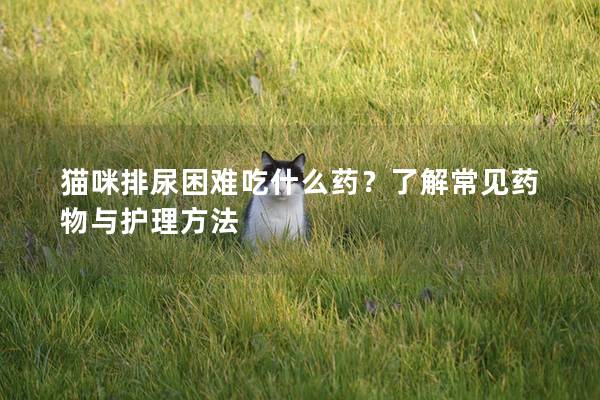 猫咪排尿困难吃什么药？了解常见药物与护理方法