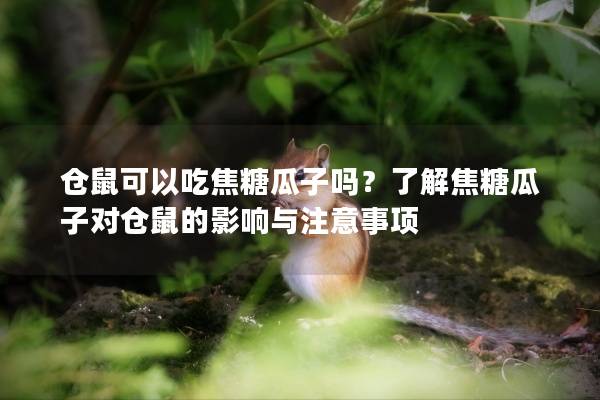 仓鼠可以吃焦糖瓜子吗？了解焦糖瓜子对仓鼠的影响与注意事项