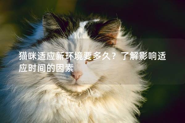 猫咪适应新环境要多久？了解影响适应时间的因素