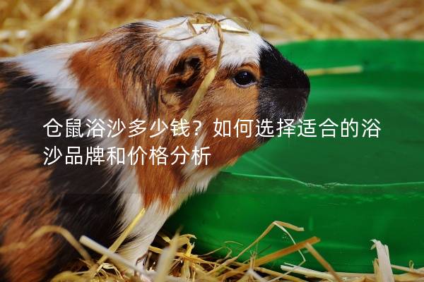 仓鼠浴沙多少钱?如何选择适合的浴沙品牌和价格分析 仓鼠浴沙多少钱?如何选择适合的浴沙品牌和价格分析