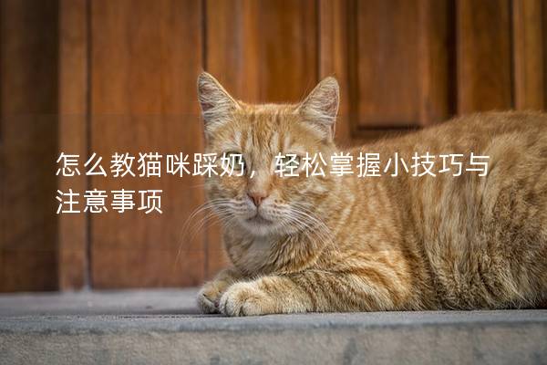 怎么教猫咪踩奶，轻松掌握小技巧与注意事项