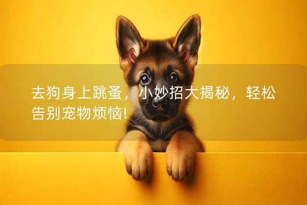 去狗身上跳蚤,小妙招大揭秘,轻松告别宠物烦恼! 去狗身上跳蚤,小妙招大揭秘,轻松告别宠物烦恼!