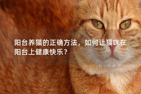 阳台养猫的正确方法，如何让猫咪在阳台上健康快乐？