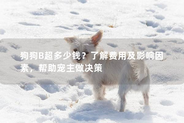 狗狗B超多少钱？了解费用及影响因素，帮助宠主做决策