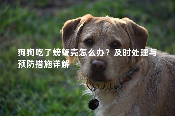 狗狗吃了螃蟹壳怎么办？及时处理与预防措施详解