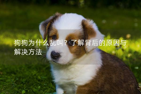 狗狗为什么乱叫？了解背后的原因与解决方法