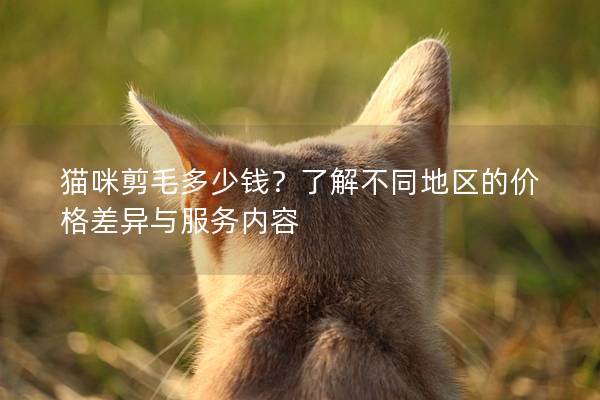猫咪剪毛多少钱？了解不同地区的价格差异与服务内容