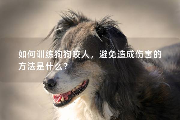 如何训练狗狗咬人，避免造成伤害的方法是什么？