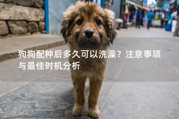 狗狗配种后多久可以洗澡？注意事项与最佳时机分析