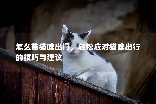 怎么带猫咪出门，轻松应对猫咪出行的技巧与建议