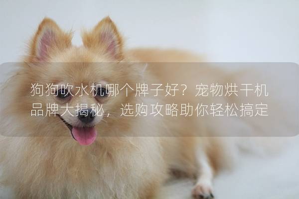 狗狗吹水机哪个牌子好？宠物烘干机品牌大揭秘，选购攻略助你轻松搞定