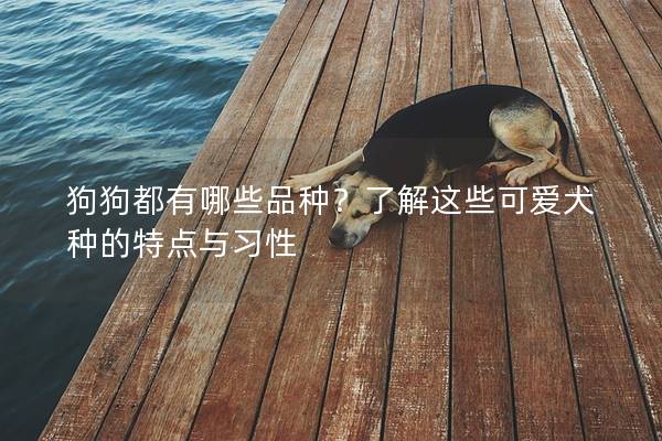 狗狗都有哪些品种?了解这些可爱犬种的特点与习性 狗狗都有哪些品种?了解这些可爱犬种的特点与习性
