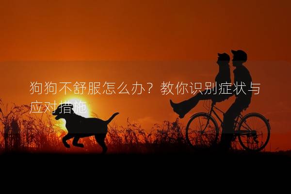 狗狗不舒服怎么办?教你识别症状与应对措施 狗狗不舒服怎么办?教你识别症状与应对措施