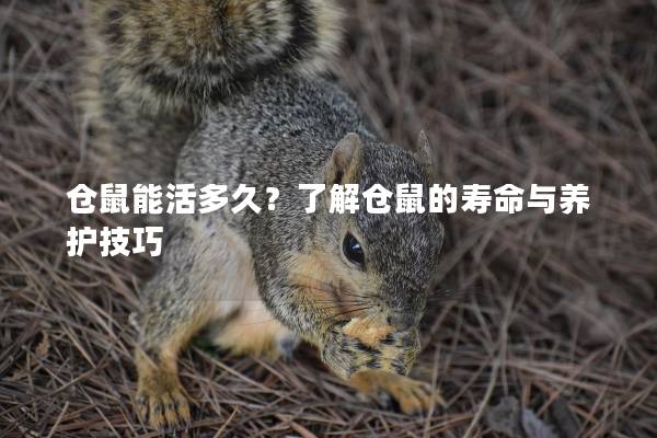 仓鼠能活多久?了解仓鼠的寿命与养护技巧 仓鼠能活多久?了解仓鼠的寿命与养护技巧