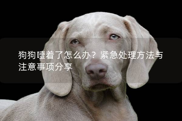 狗狗噎着了怎么办？紧急处理方法与注意事项分享