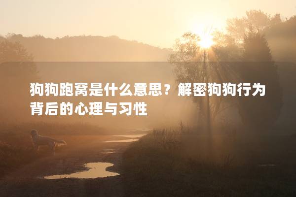 狗狗跑窝是什么意思？解密狗狗行为背后的心理与习性