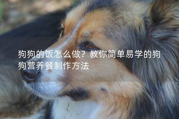 狗狗的饭怎么做？教你简单易学的狗狗营养餐制作方法